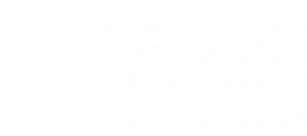 logo-vectorise-patrice-avs.png